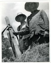 Two hired men in hay cart